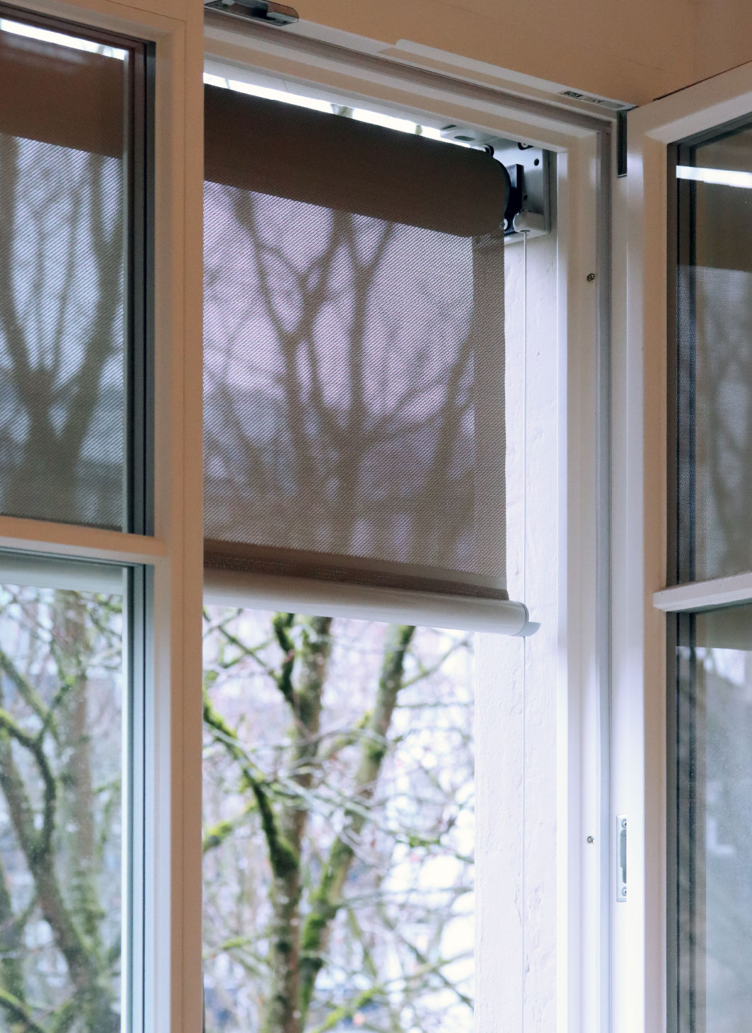 Stephansschule Konstanz, Denkmalschutzrechtliche Sanierung, AKKU Architekten, Architekturbüro Konstanz, Architekten, Schule, Öffentliche Bauten